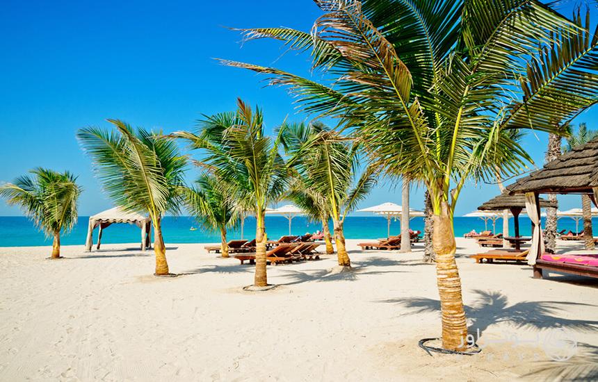 تصویری از ساحل لامر دبی که نمایی از درخت‌های نخل و تخت‌های آفتاب‌گیر را نشان می‌دهد